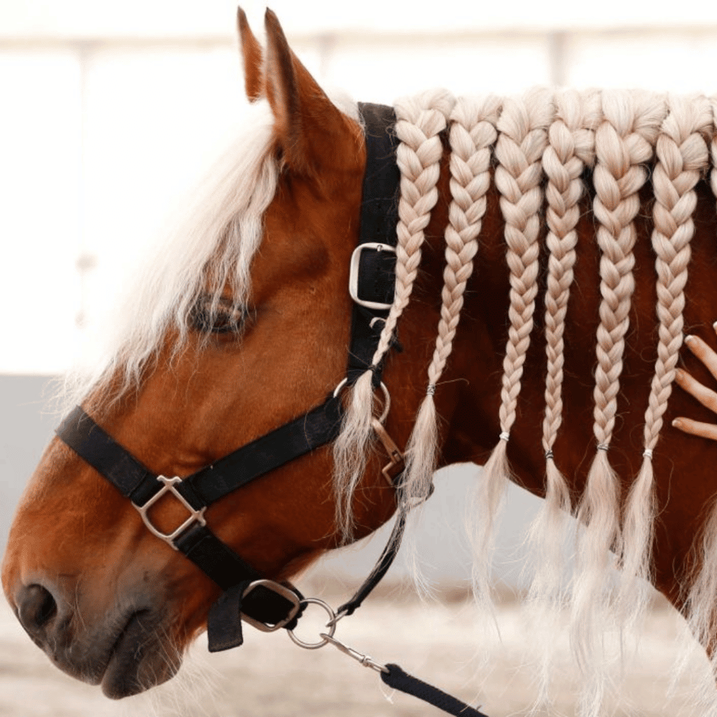 La tresse simple ou droite